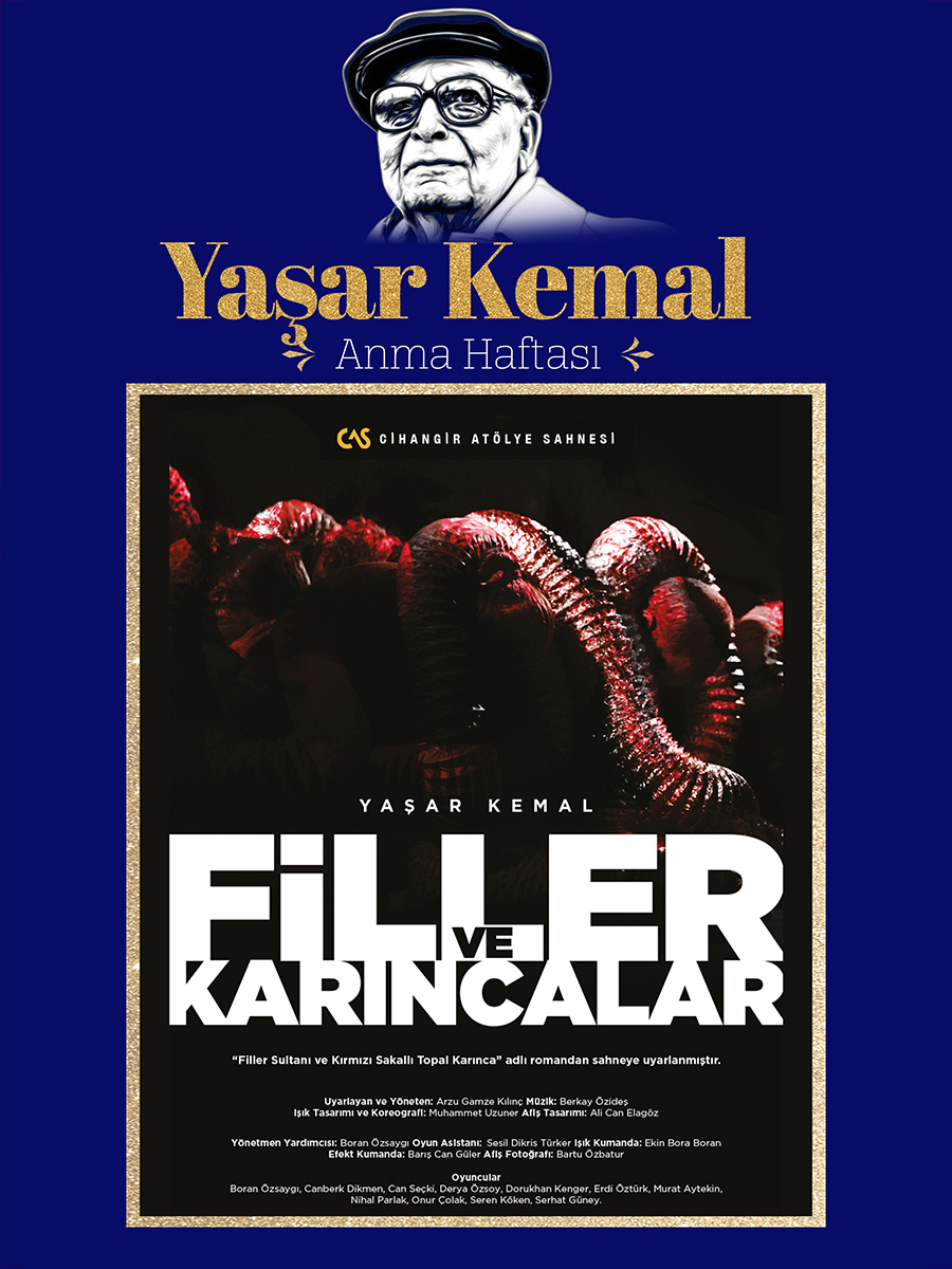 Etkinlik Afişi